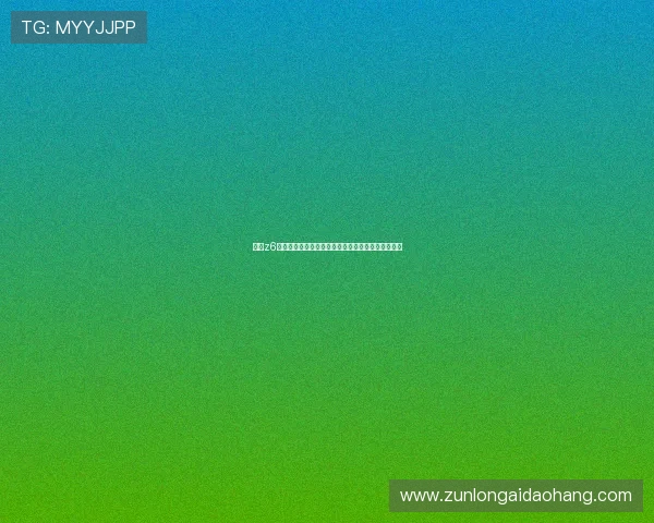 尊龙z6安全配置全方位保障，守护每一次出行的安心与放心