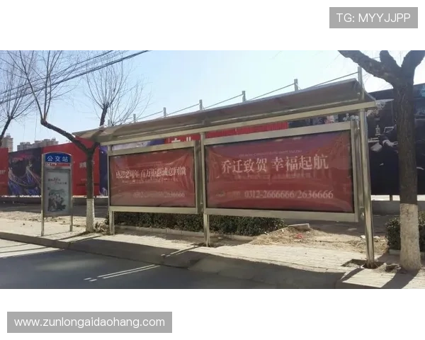 尊龙d88用现详细攻略分享，提升游戏体验和账号安全的实用技巧