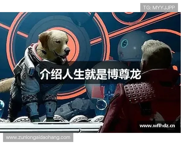 尊龙人生就是博学：培养广泛兴趣提升生活品质的实用技巧